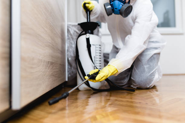 Best Affordable Pest Control Services  in Warsaw, IL