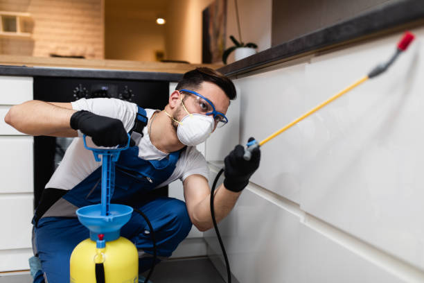 Pest Control for Restaurants in Warsaw, IL