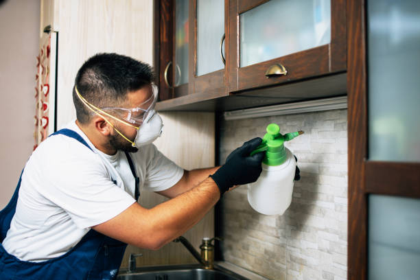 Best Cockroach Control Services  in Warsaw, IL