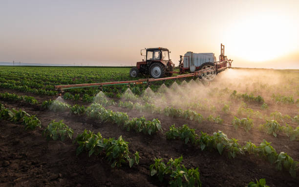 Best Commercial Pest Control Services  in Warsaw, IL