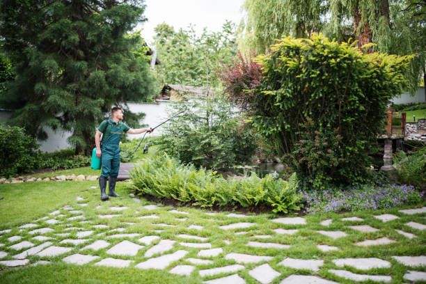 Best Residential Pest Control  in Warsaw, IL