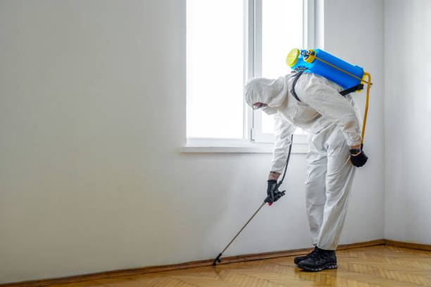 Professional Pest Control in Warsaw, IL