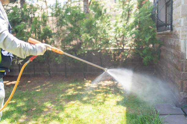 Best Rat Extermination Near Me  in Warsaw, IL