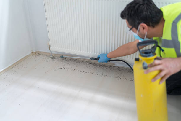 Best Local Pest Control Services  in Warsaw, IL