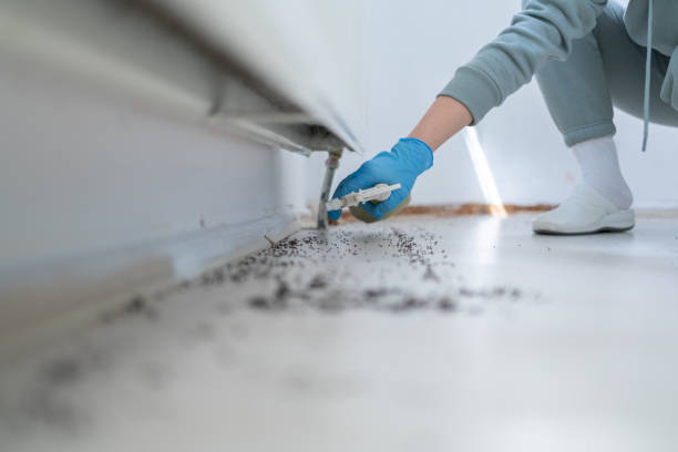 Best Emergency Pest Control  in Warsaw, IL