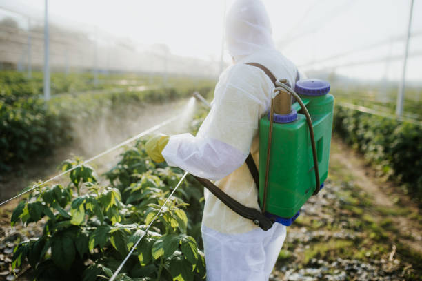 Best Commercial Pest Control Services  in Warsaw, IL